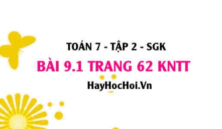 Bài 9.1 trang 62 Toán 7 Tập 2 Kết nối tri thức